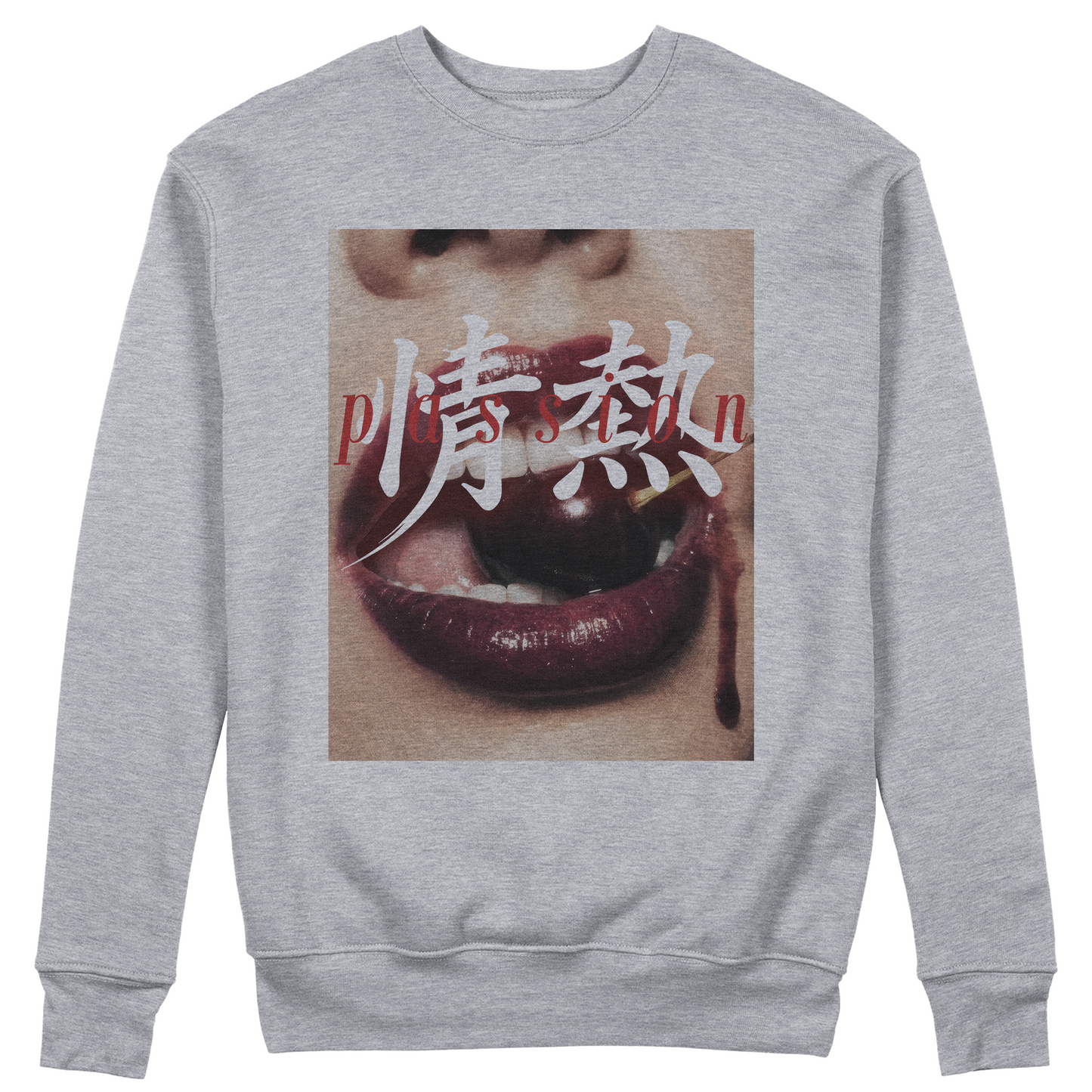 FELPA GIROCOLLO PASSION maglia fotografica Passione love Grigio #chooseurcolor